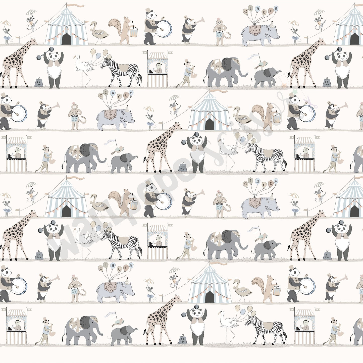 Animal Parade: AP 5