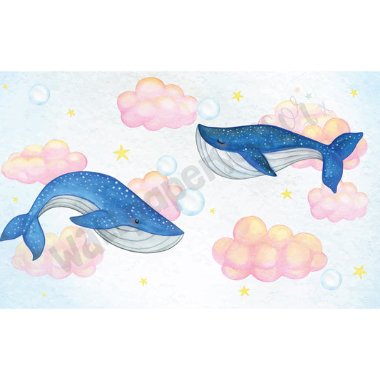 Dream Whales: SD 6