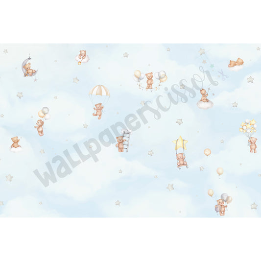 Sky Full Of Bears: SD 21