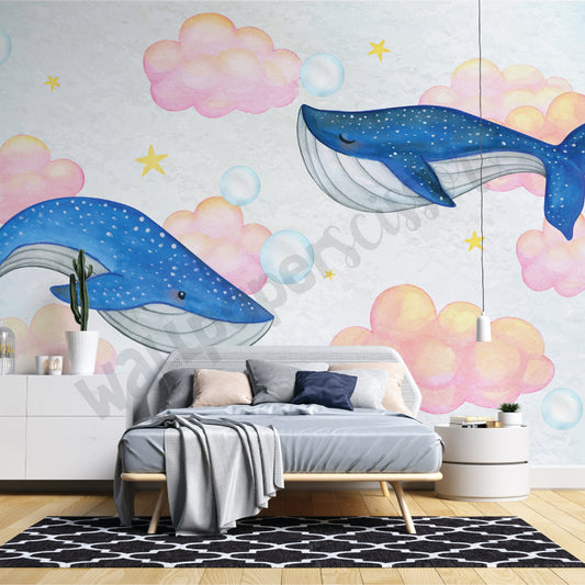 Dream Whales: SD 6